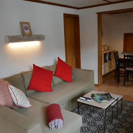 Appartement Oehrli Appartement-fewo- Dusche Oder Bad- Wc 4-bettwohnung By Interhome Gstaad